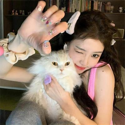 女主播风云 海报